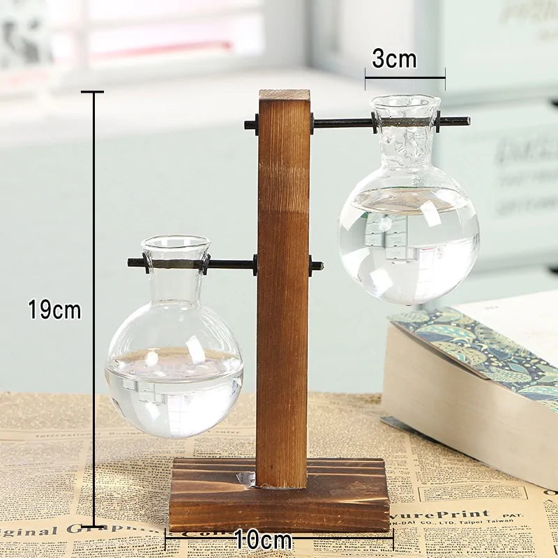 Hydroponic Transparent Plant Vases - Agape Seven Clothing Company