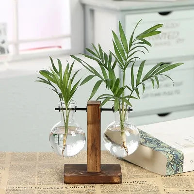 Hydroponic Transparent Plant Vases - Agape Seven Clothing Company