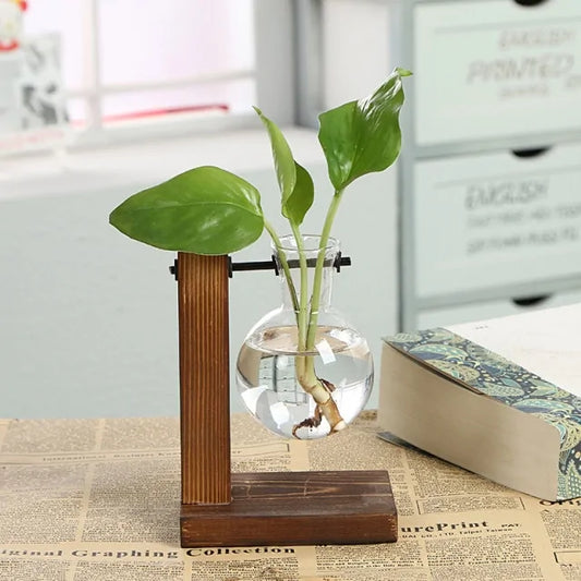 Hydroponic Transparent Plant Vases - Agape Seven Clothing Company