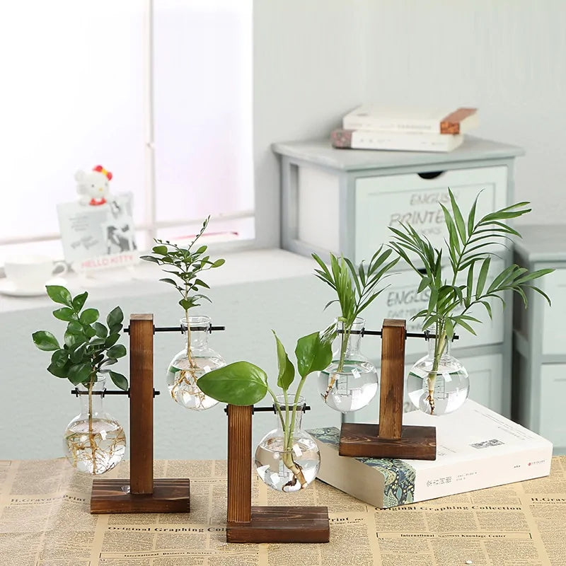 Hydroponic Transparent Plant Vases - Agape Seven Clothing Company