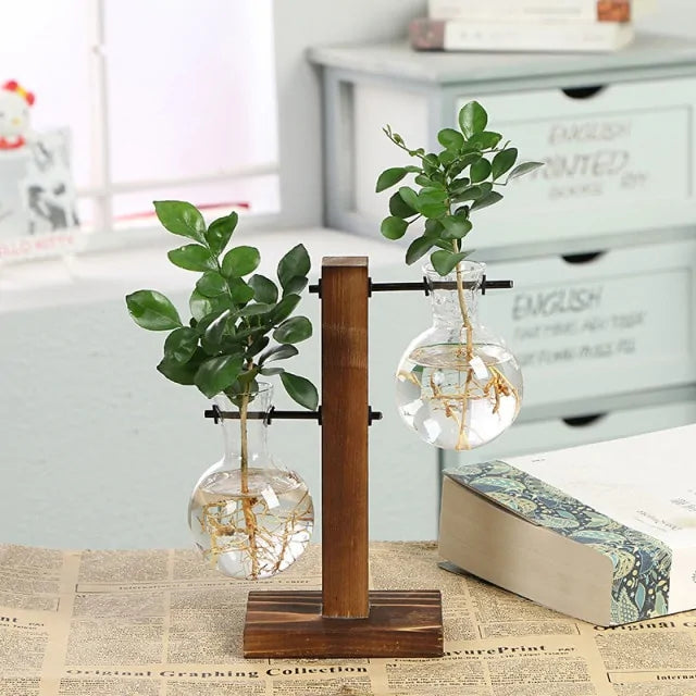 Hydroponic Transparent Plant Vases - Agape Seven Clothing Company